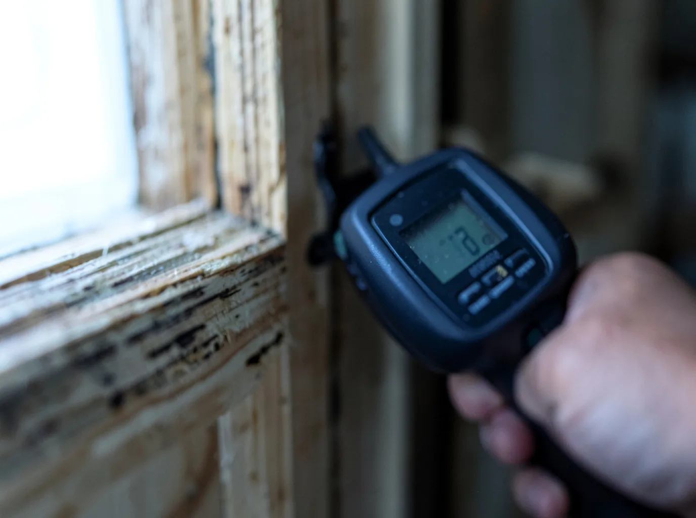 Moisture Inspection And Documentation in Convent Station, NJ
